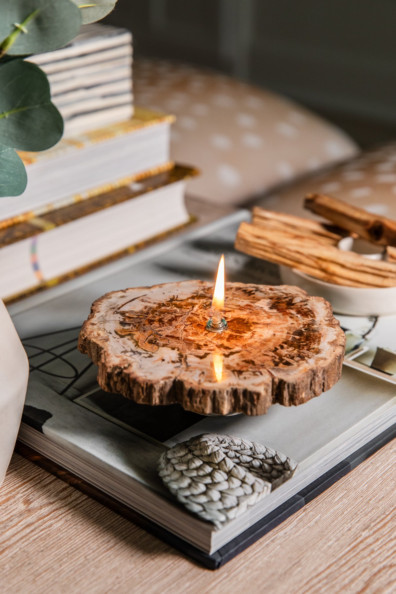 Petrified Wood Slab Oil Candle