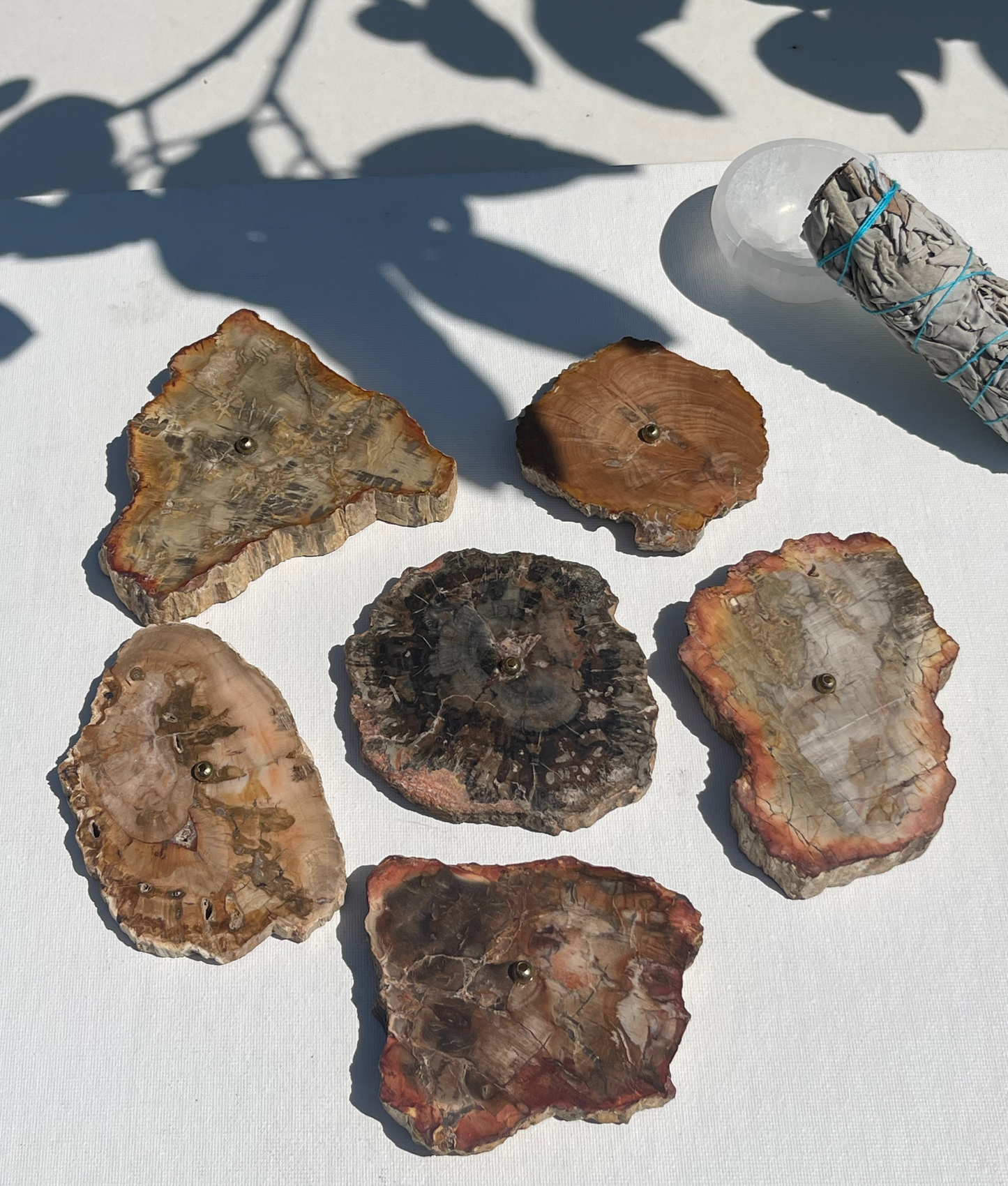 Petrified Wood Incense Holder