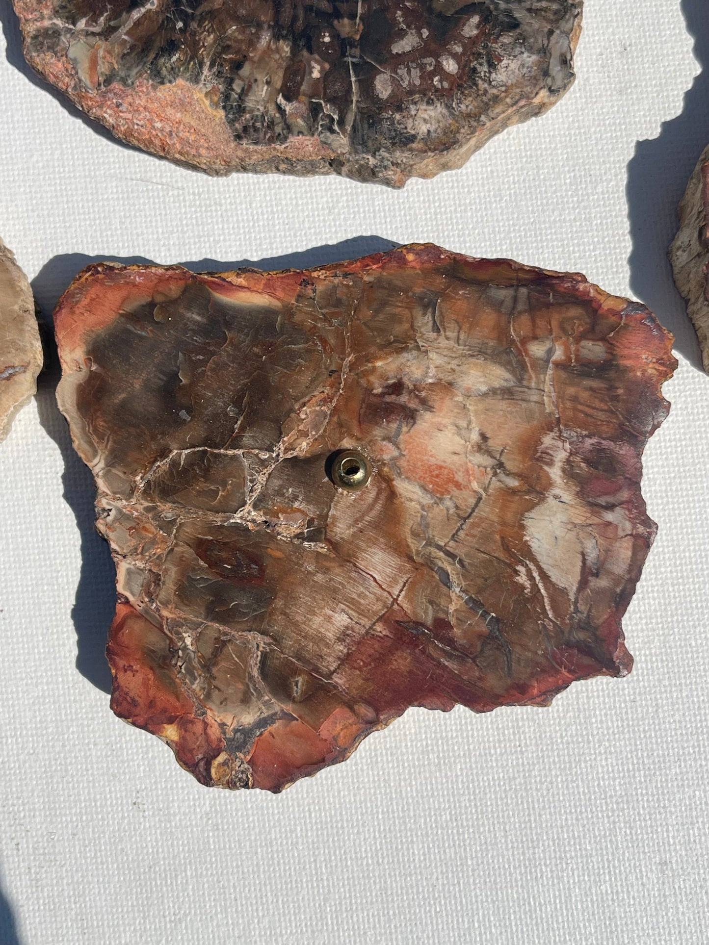 Petrified Wood Incense Holder