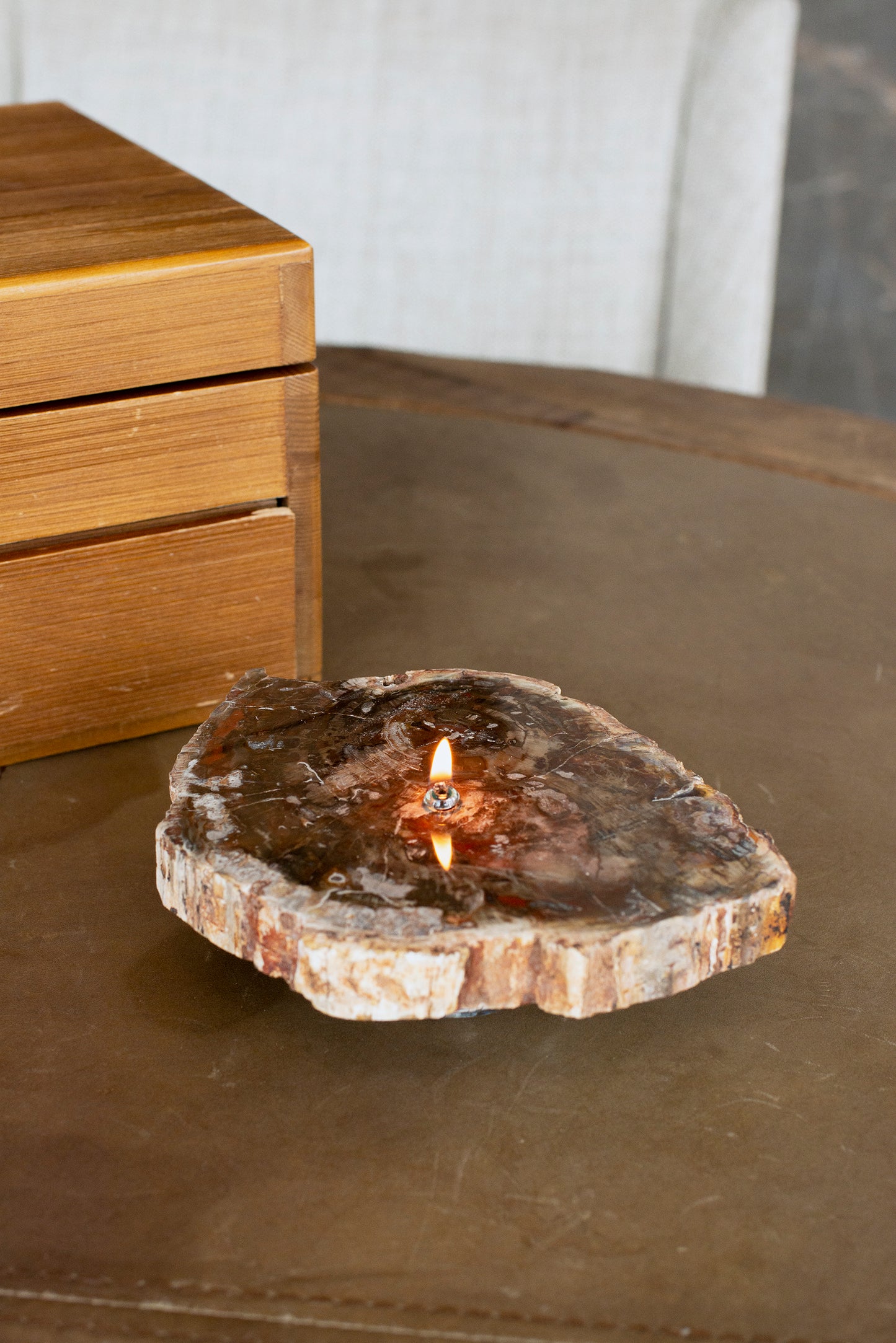 Petrified Wood Slab Oil Candle