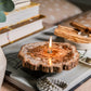 Petrified Wood Slab Oil Candle