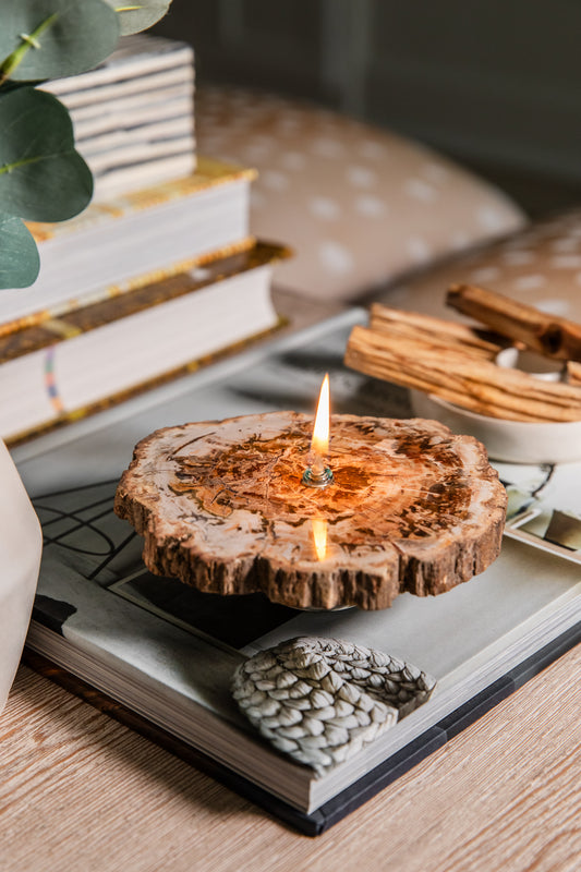Petrified Wood Slab Oil Candle