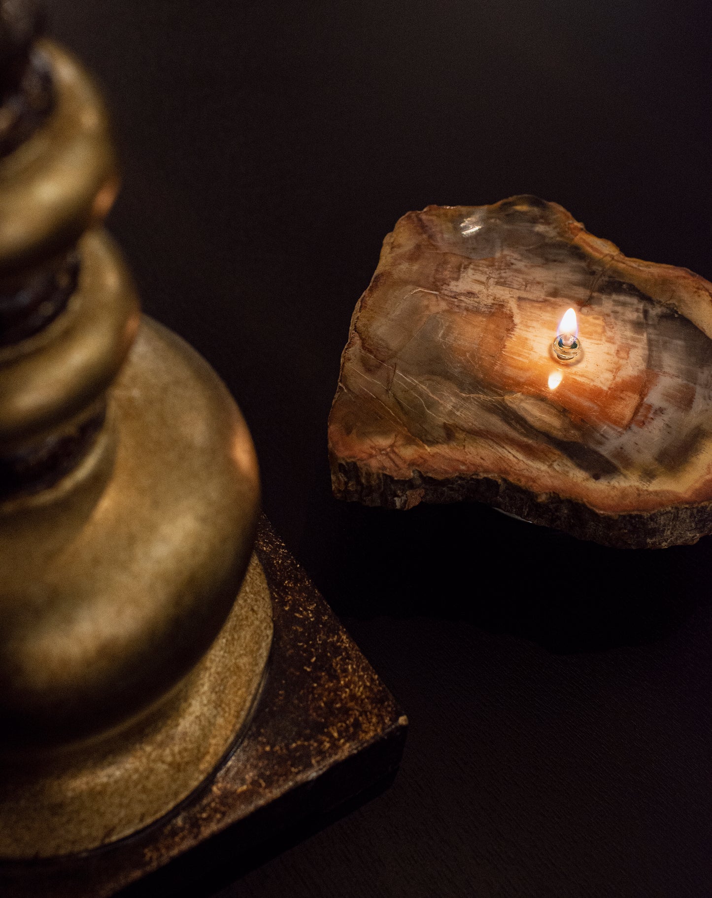 Petrified Wood Slab Oil Candle