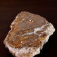 Petrified Wood Platter Oil Candle