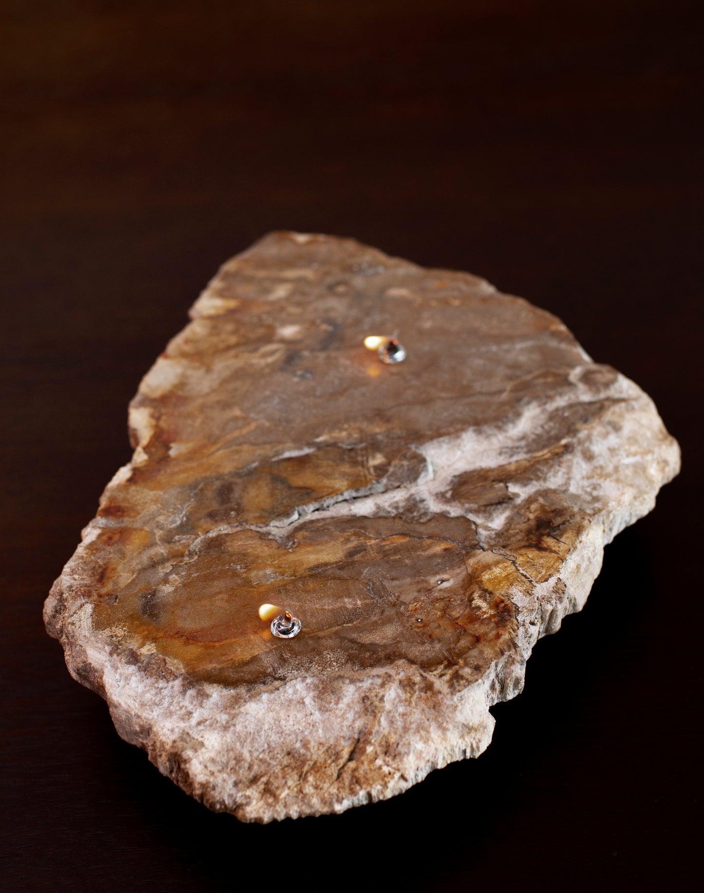 Petrified Wood Platter Oil Candle
